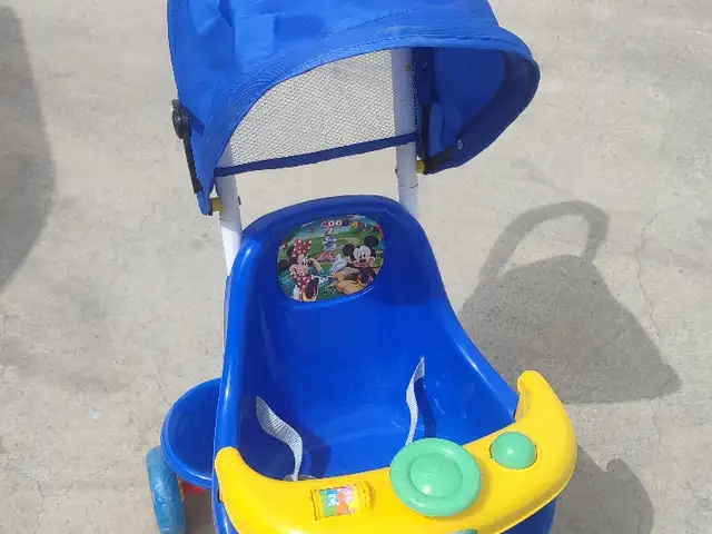 Коляска, Душанбе