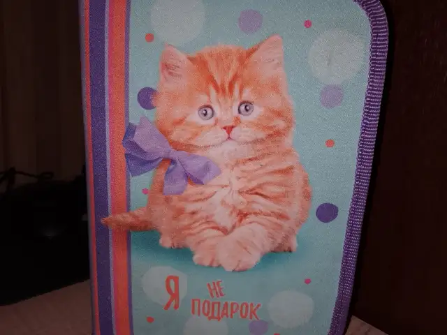 Пенал, Душанбе
