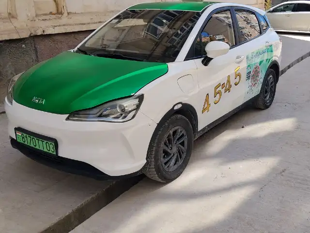 Neta V