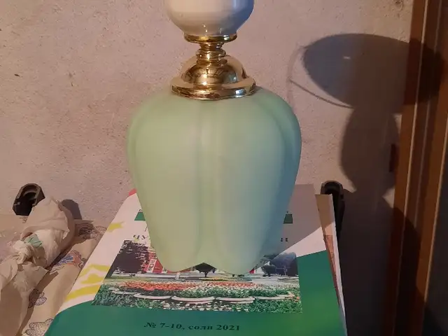 Лампа тюльпан, Душанбе