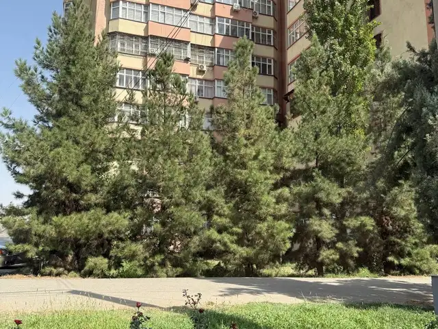3-комн. квартира, 9 этаж, 88 м², 91 мкр, Душанбе