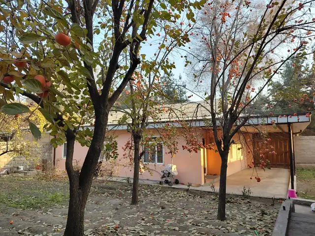 1 этажн. 7-комн. дом, 8 соток, рядом с хукуматом, Гулистон (Кайраккум)