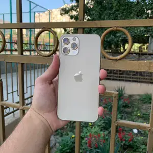 Apple iPhone 12 Pro Max, 256 gb, Gold, Худжанд