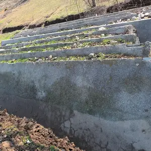 Стеновые плиты, Яван