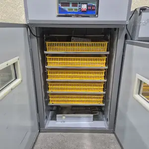 Инкубатор 440, Худжанд