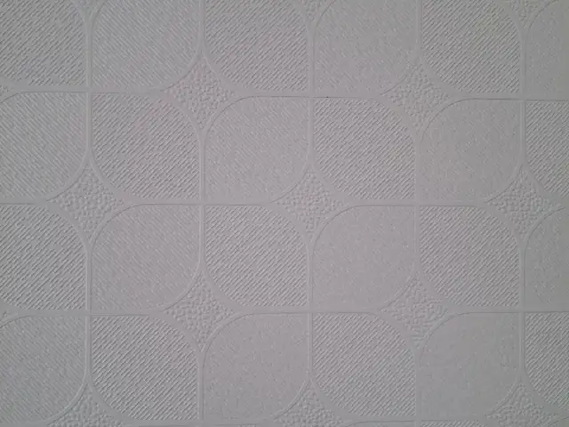 Потолок Амстронг, Душанбе