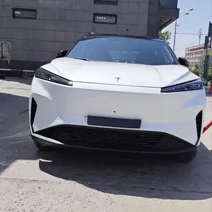 Dongfeng Hedmos 06