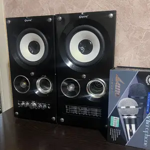 Большая колонка с микрофоном, Худжанд