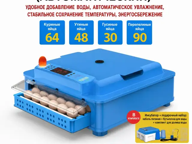 Автоматический инкубатор на 64 яйца, Душанбе