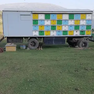 Вагони замбӯр, Вахдат