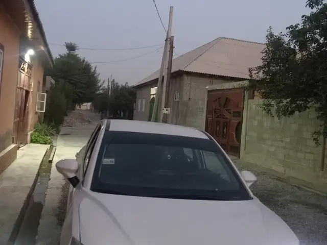 Neta V