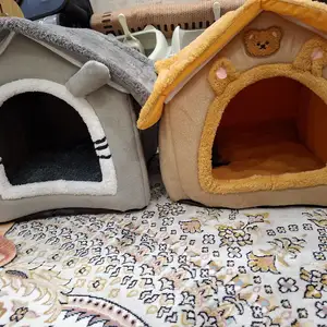 Домик для кошек, Худжанд