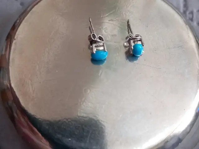 Серьги гвоздики, Душанбе