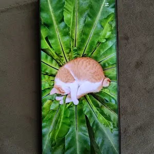 Xiaomi redmi note 14 pro+ 5, Ёвон