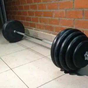 Гриф, Душанбе