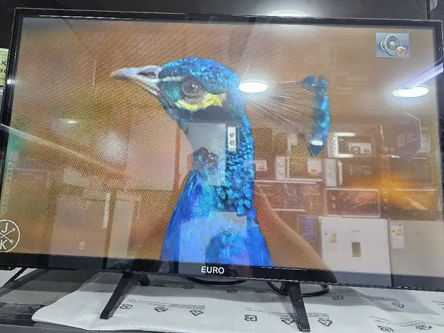 Телевизор, Хуҷанд