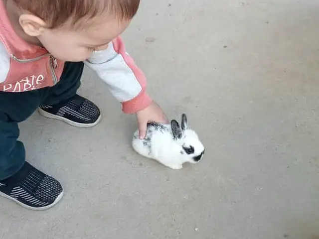Харгушчахо, Душанбе