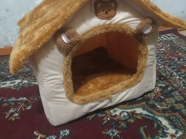 Домик для кошек и котят, Душанбе