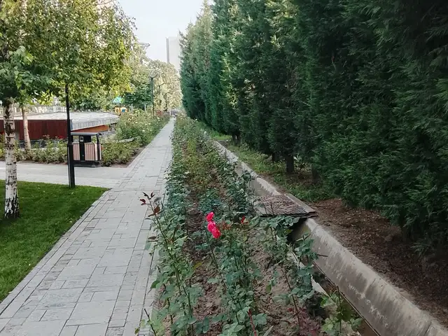 6-комн. дом, 2 этаж, 150 м², Центре Медгородок, Душанбе - 11