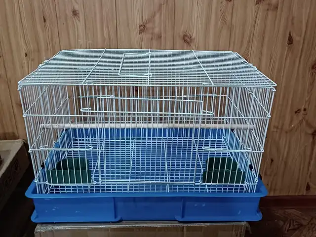 Клетка, Душанбе