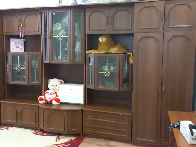 Стенка, Конибодом