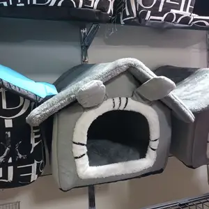 Домик для кошек, Худжанд