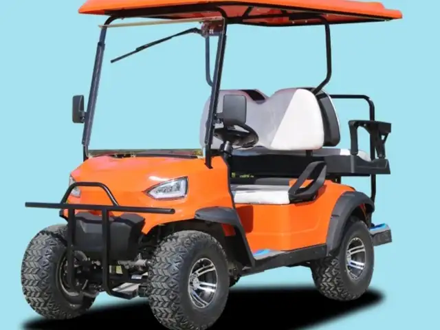 Багги buggy golf, Душанбе