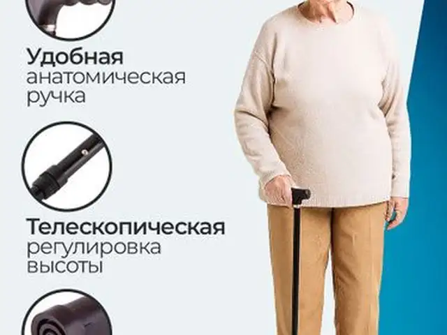 Трость Ассо, Хуҷанд