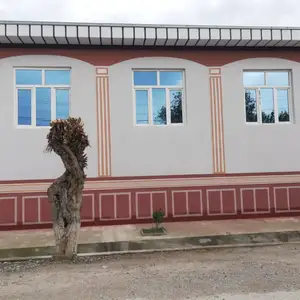 Фасадная крошка, Душанбе