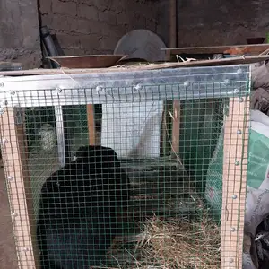 Клетка для кролика, Душанбе