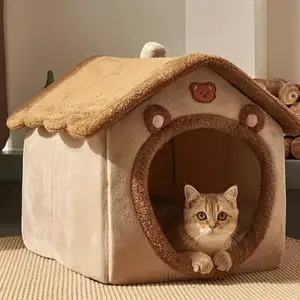 Домик для кошек и котят, Худжанд