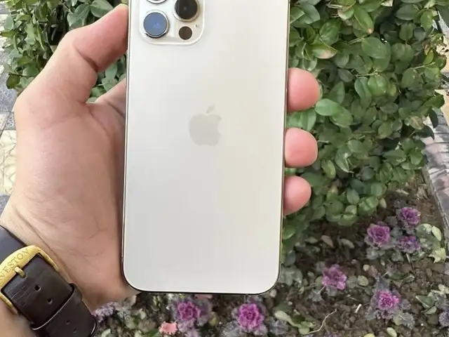Apple iPhone 12 pro, 512 gb, Gold, Рогун
