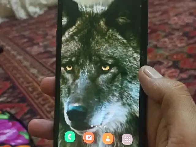 Samsung Galaxy A6, Пенджикент