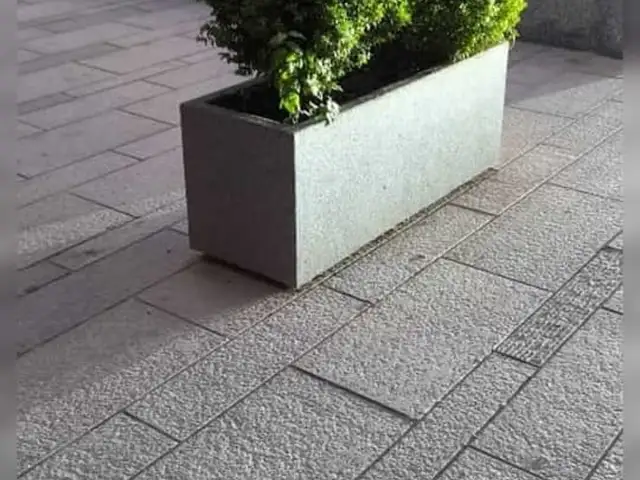 Цветочница, Душанбе