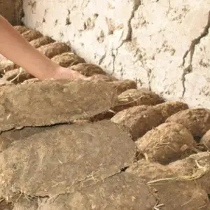 Тапаки калон, Рудаки