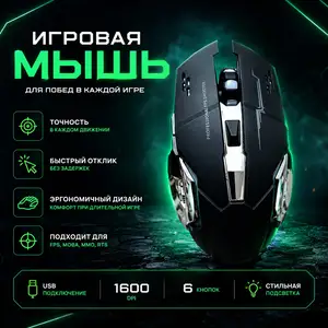 Игровая мышь, Душанбе