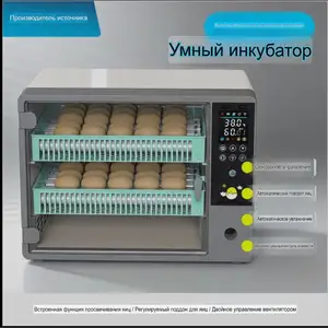 Умный инкубатор, Душанбе