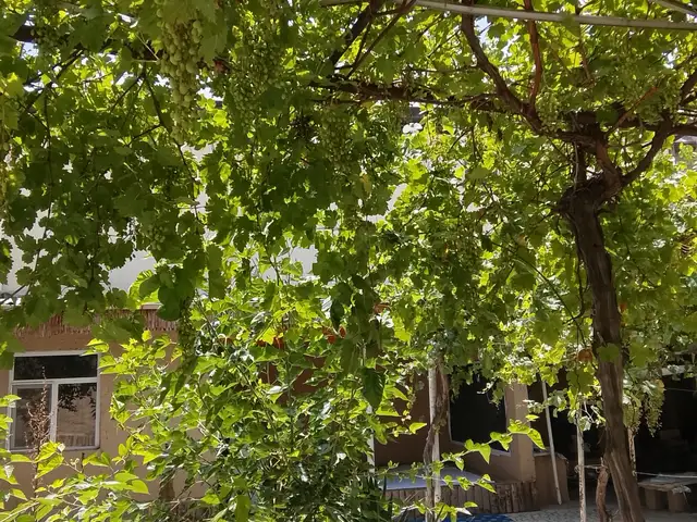 6-комн. дом, 2 этаж, 150 м², Центре Медгородок, Душанбе - 12