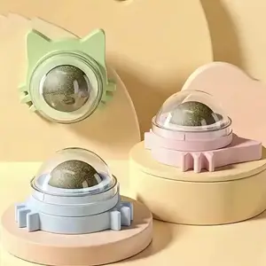 Кошачья мята, Душанбе