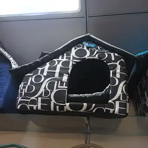 Домик для кошек, Худжанд