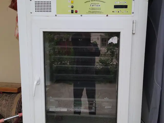 Инкубатор, Худжанд