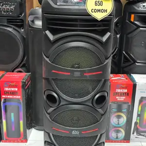 Колонка, Душанбе