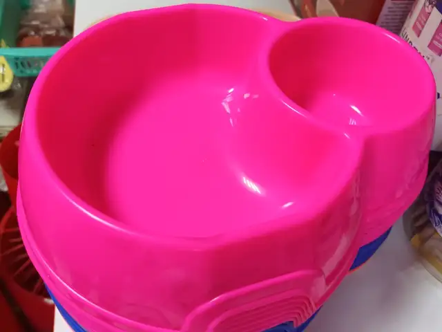 Чашки для кошек, Хуҷанд