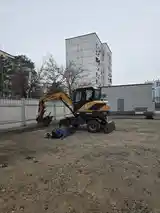 Тамири роху рохравхо, Душанбе - 6