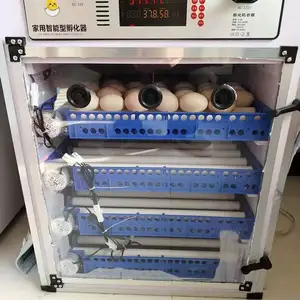 Инкубатор 340, Душанбе