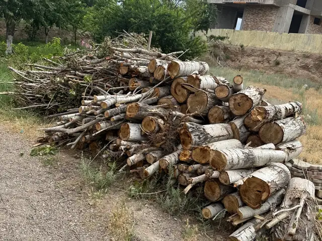 Дрова, Худжанд