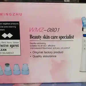 Вакуумный очиститель WMZ 0801, Душанбе
