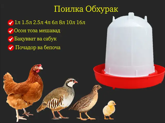 Обхурак/Поилкаи мурғу чуҷа кабк бройлер, Душанбе