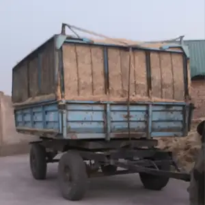 Кахи майда, Шахринав