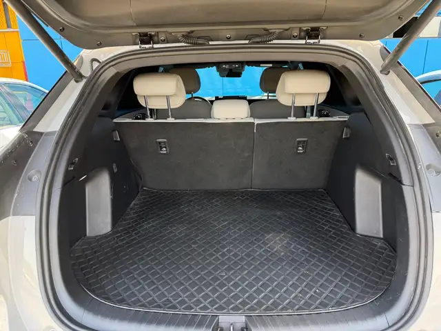 BYD Sea Lion 06, 2025, Душанбе - 13